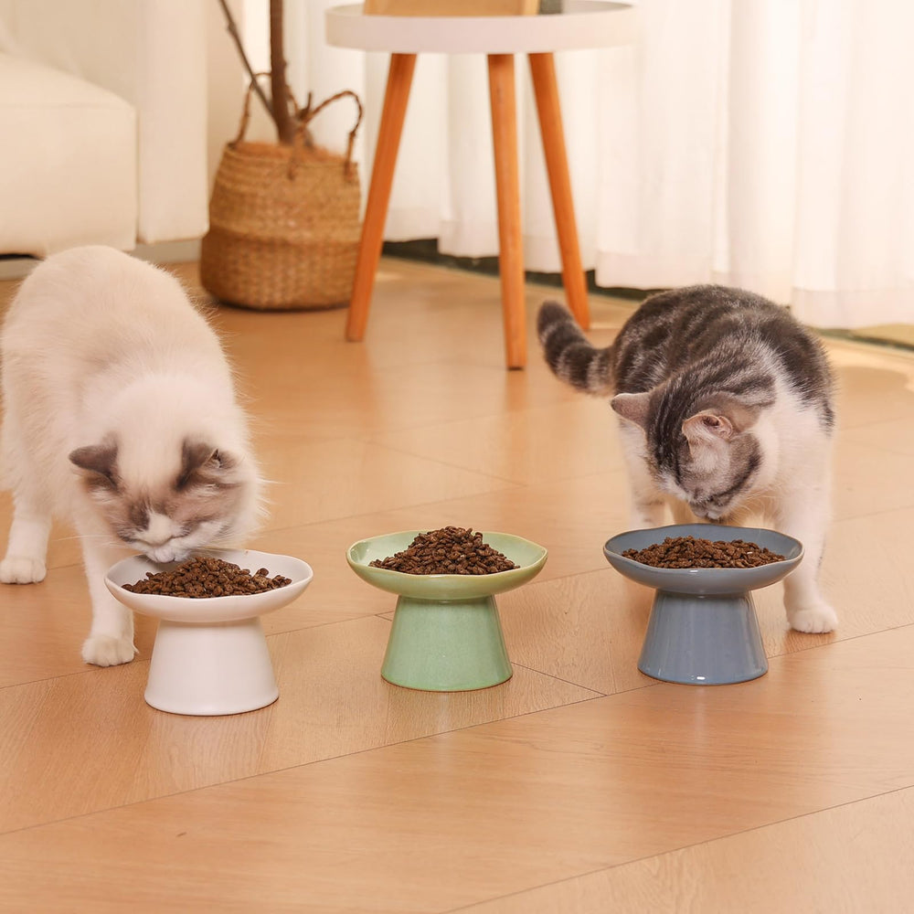 LOVINFURBABY easy-clean porcelain bowl ensures a hygienic feeding space for pets