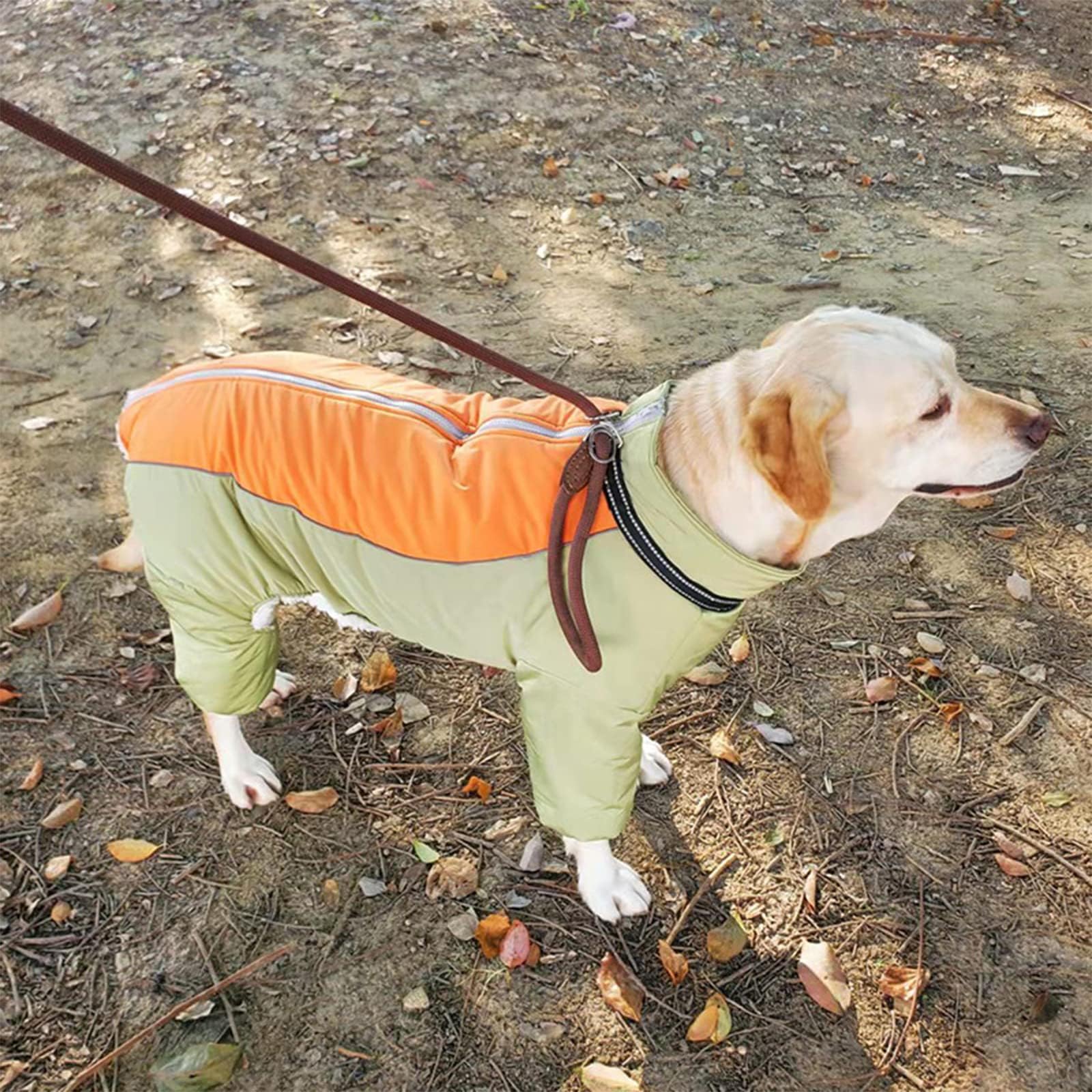 LOVINFURBABY harness-compatible design, easy walks with built-in leash options.