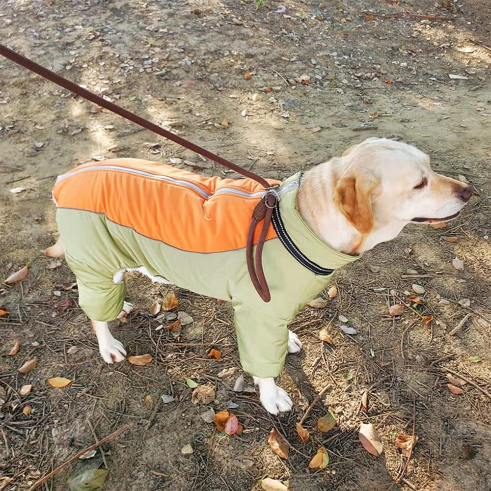 LOVINFURBABY harness-compatible design, easy walks with built-in leash options.