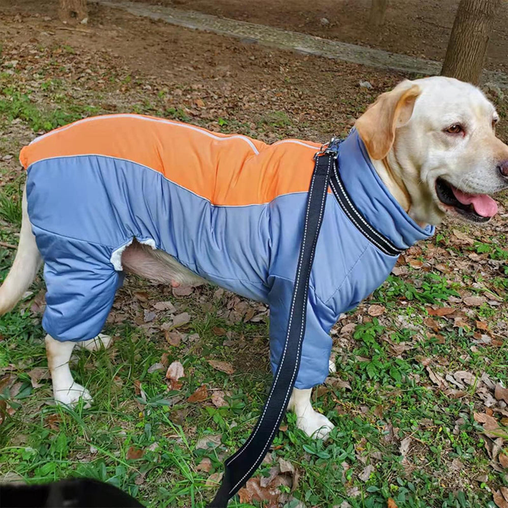 LOVINFURBABY HazeBlue coat in-use on outdoor winter walk.