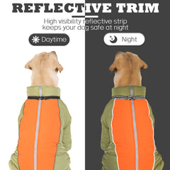 LOVINFURBABY reflective stripes image, night visibility improves safety during dusk strolls.