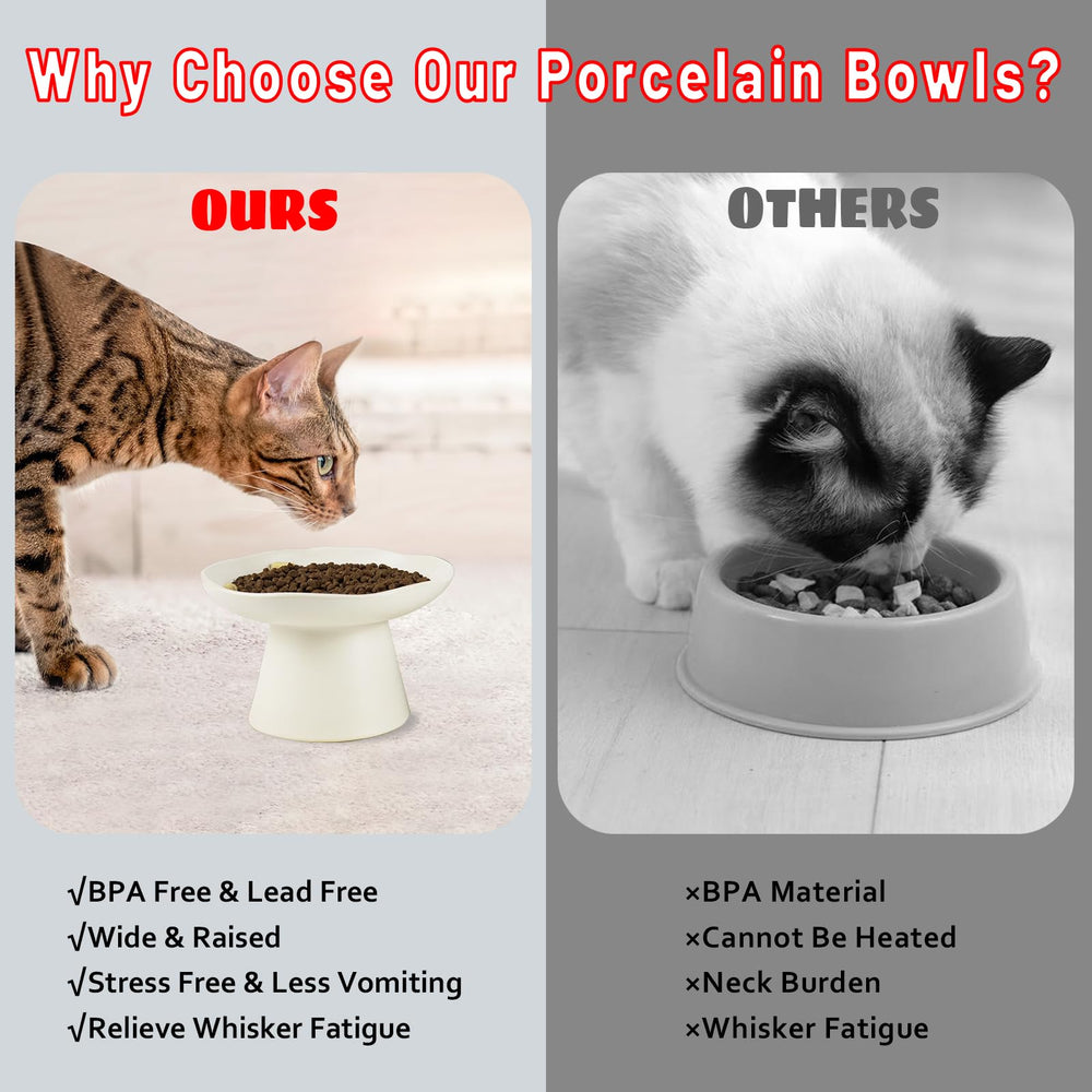 LOVINFURBABY whisker-friendly dining bowl reduces whisker contact during meals