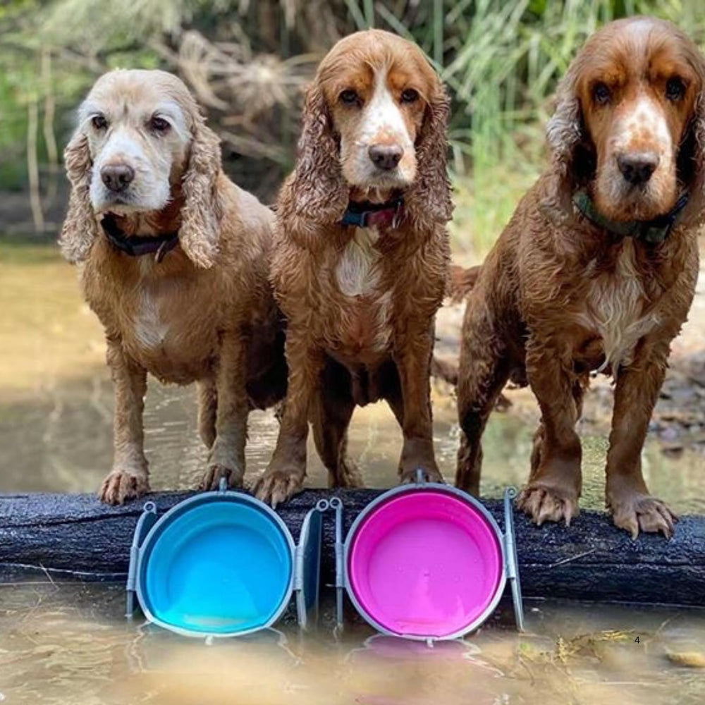 Loving Pets Bella Roma on-the-go bowl ideal for daily walks.