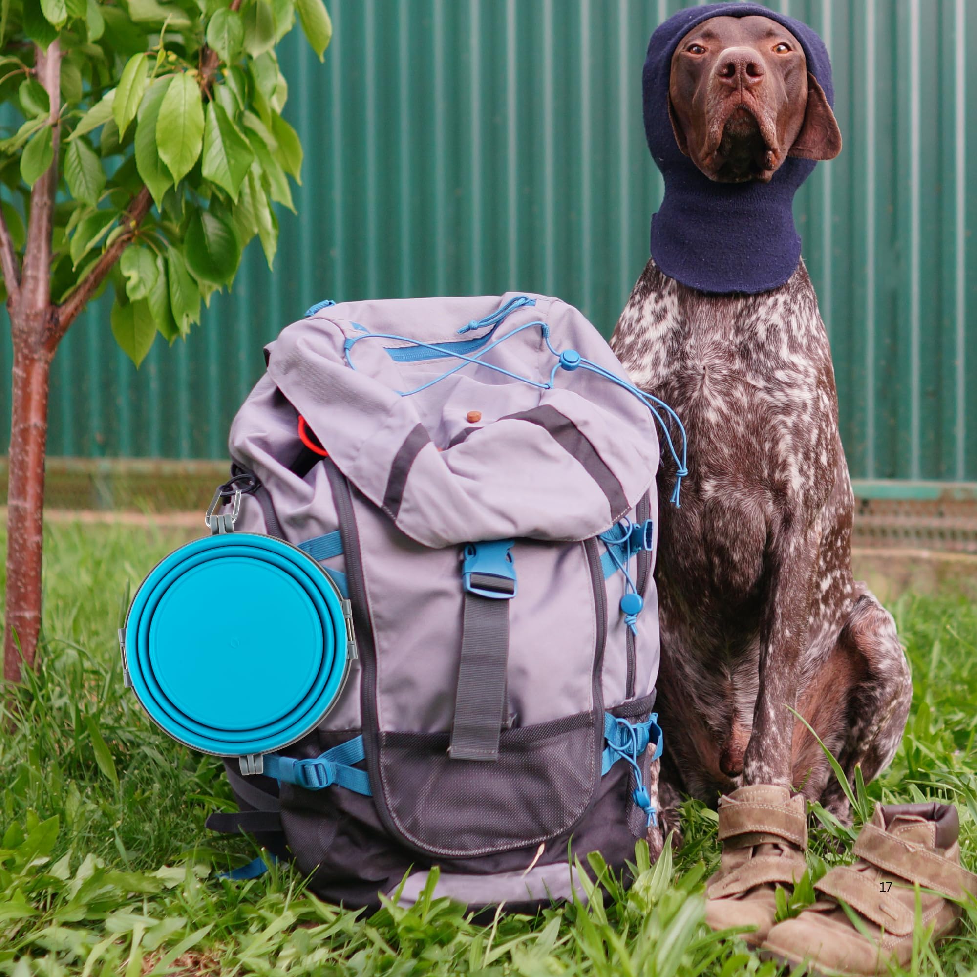 Loving Pets Bella Roma travel dog bowl blue large for road trips.