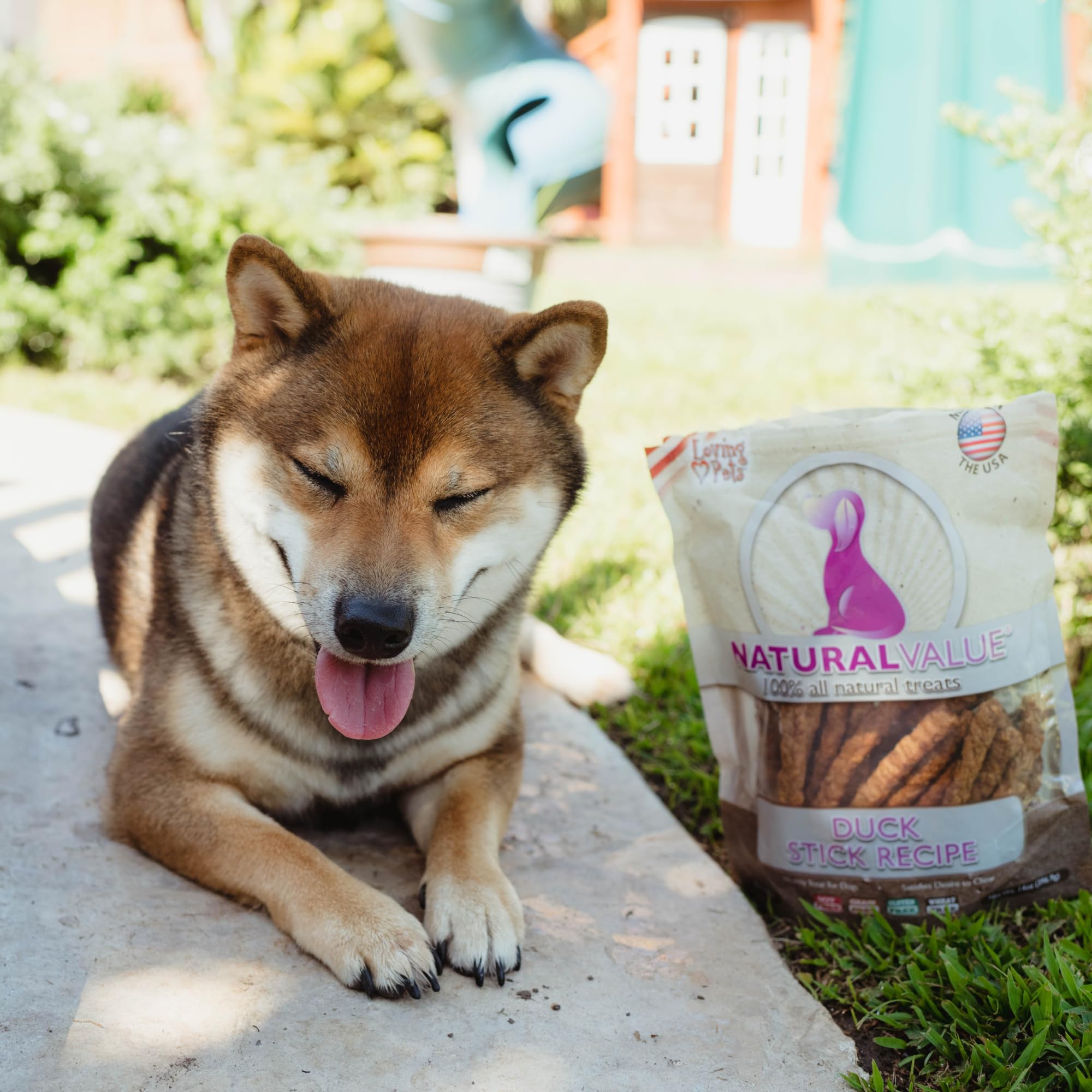 Loving Pets Natural Value duck sticks dog enjoying a chew during training reward.