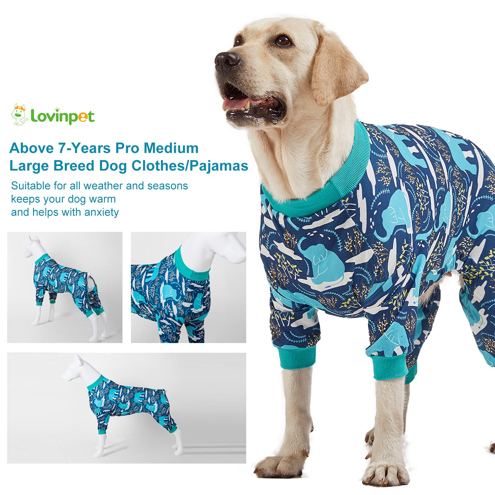 LovinPet all-seasons recovery-suit aids comfort during healing.