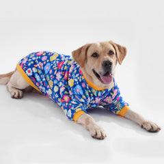 LovinPet Big Dog Fleece Pajamas double sided blue pattern shows dual warmth