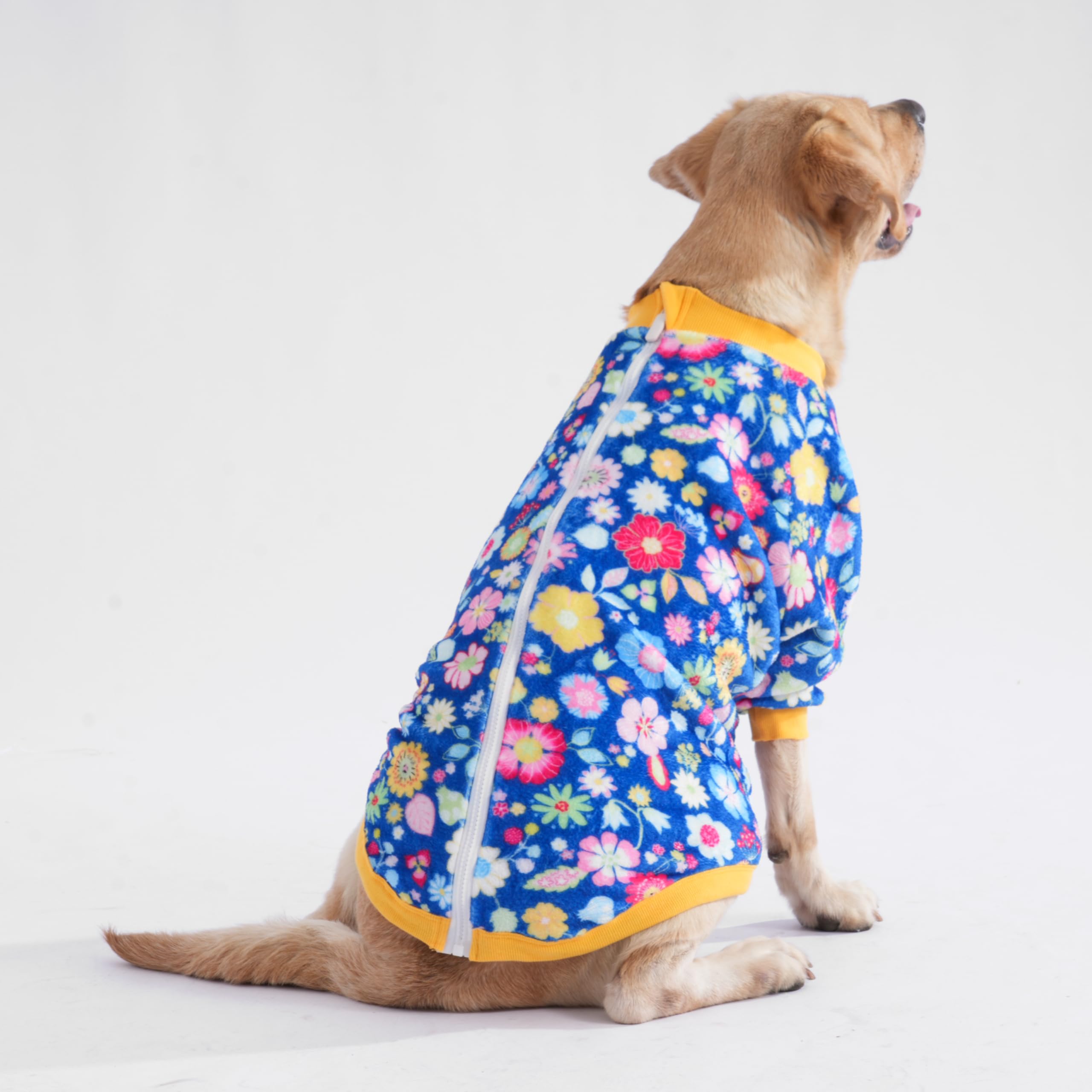 LovinPet Leaves and Butterflies print blue enhances visibility and wearability