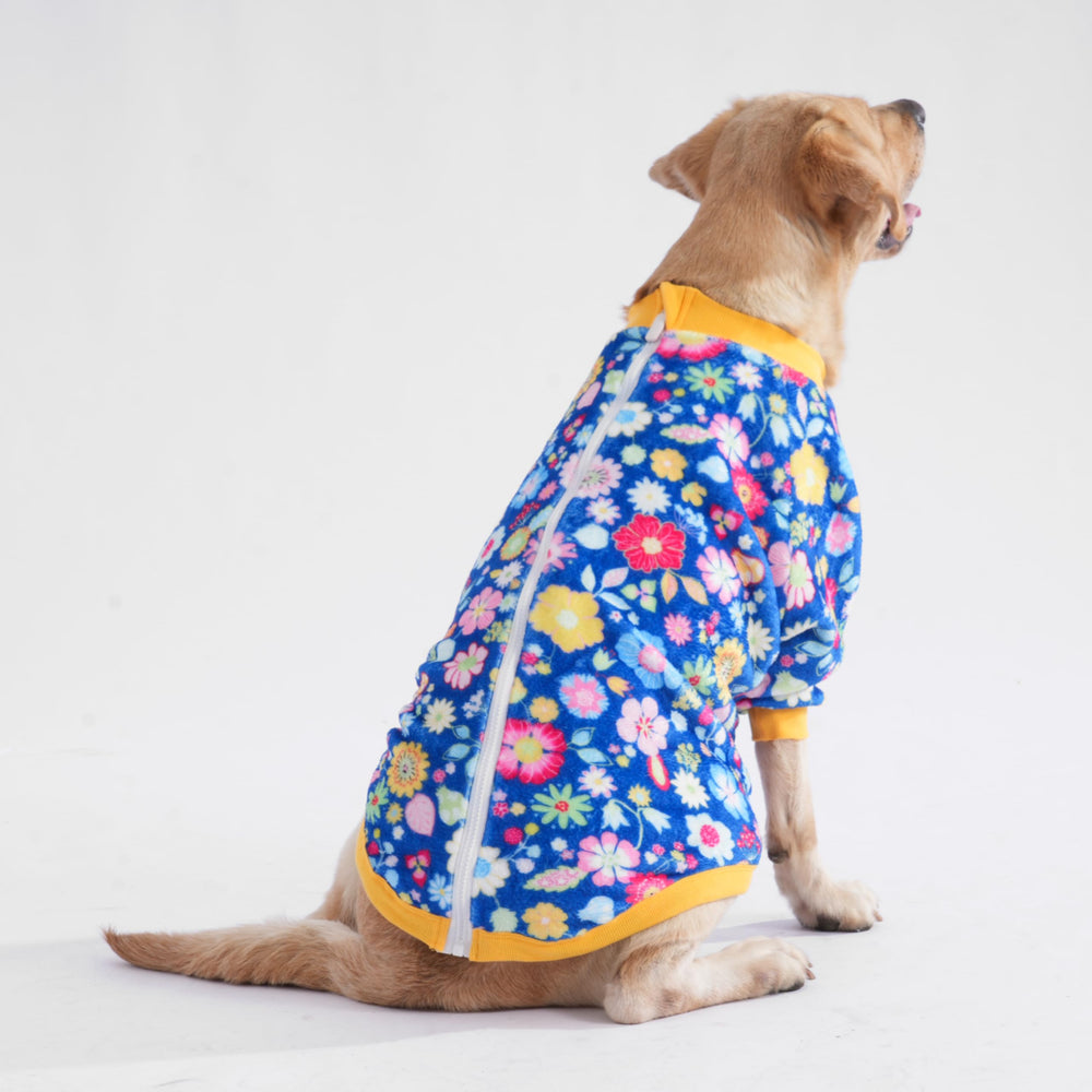 LovinPet Leaves and Butterflies print blue enhances visibility and wearability