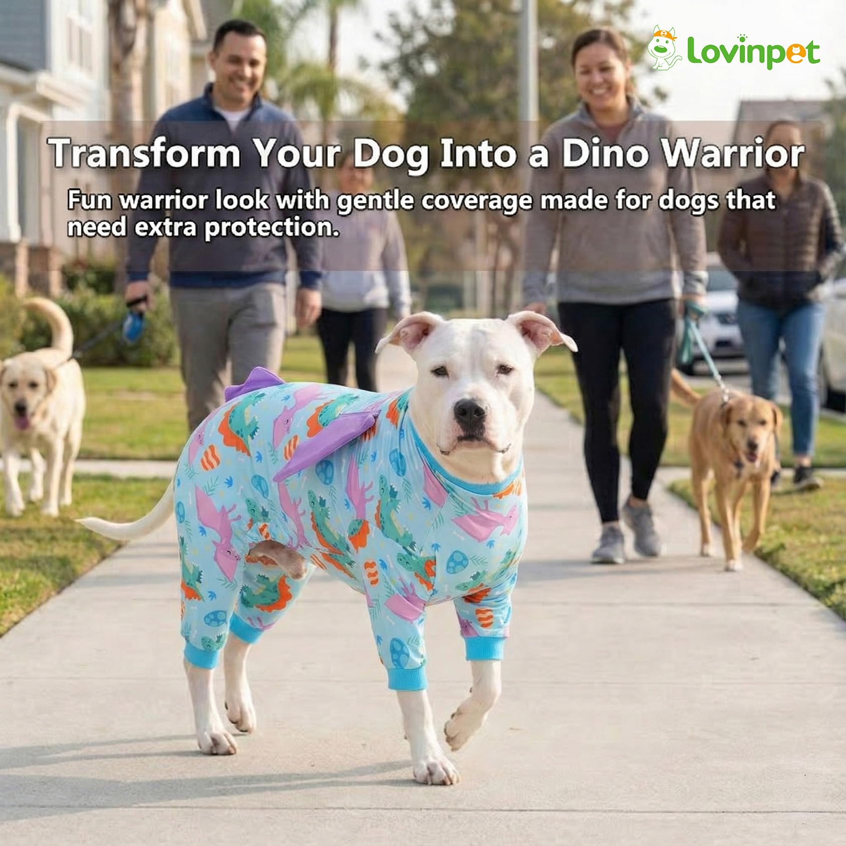 LovinPet breathable knit fabric keeps dogs comfy across seasons.