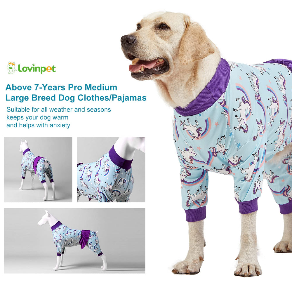 LovinPet buyer story image conveying comfort for a large dog