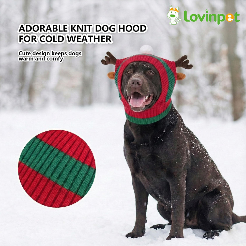 LovinPet Christmas dog hat snood on a walk stays in place