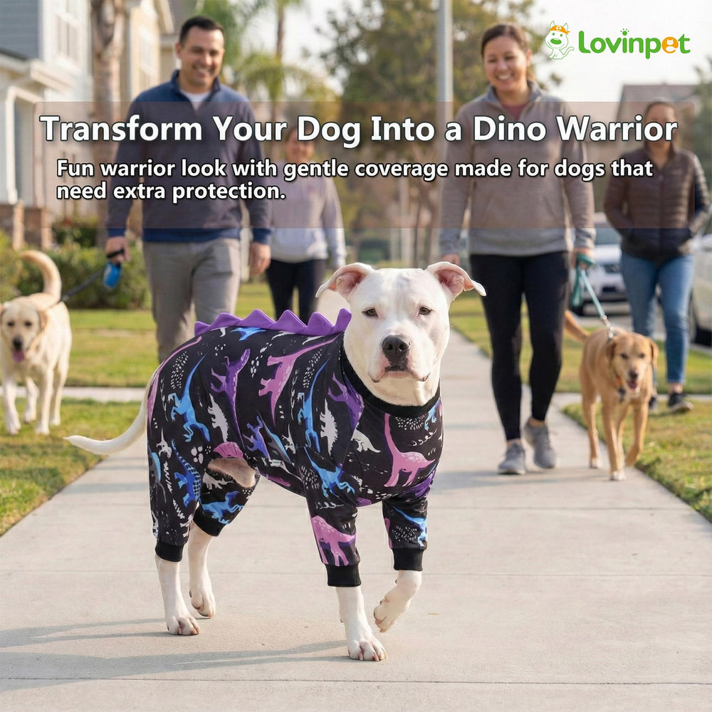 LovinPet dino eggs design adds playful style to calming comfort