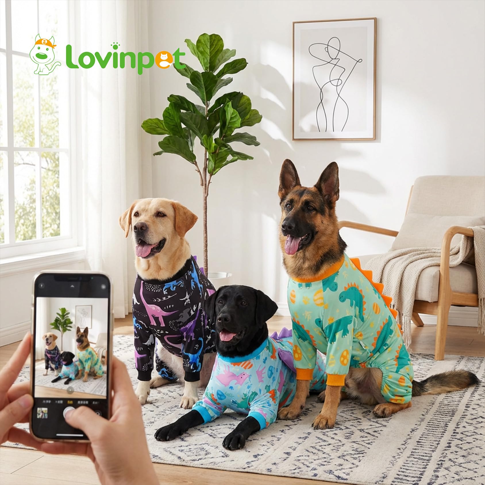 LovinPet spikes design adds fun texture for photogenic pups