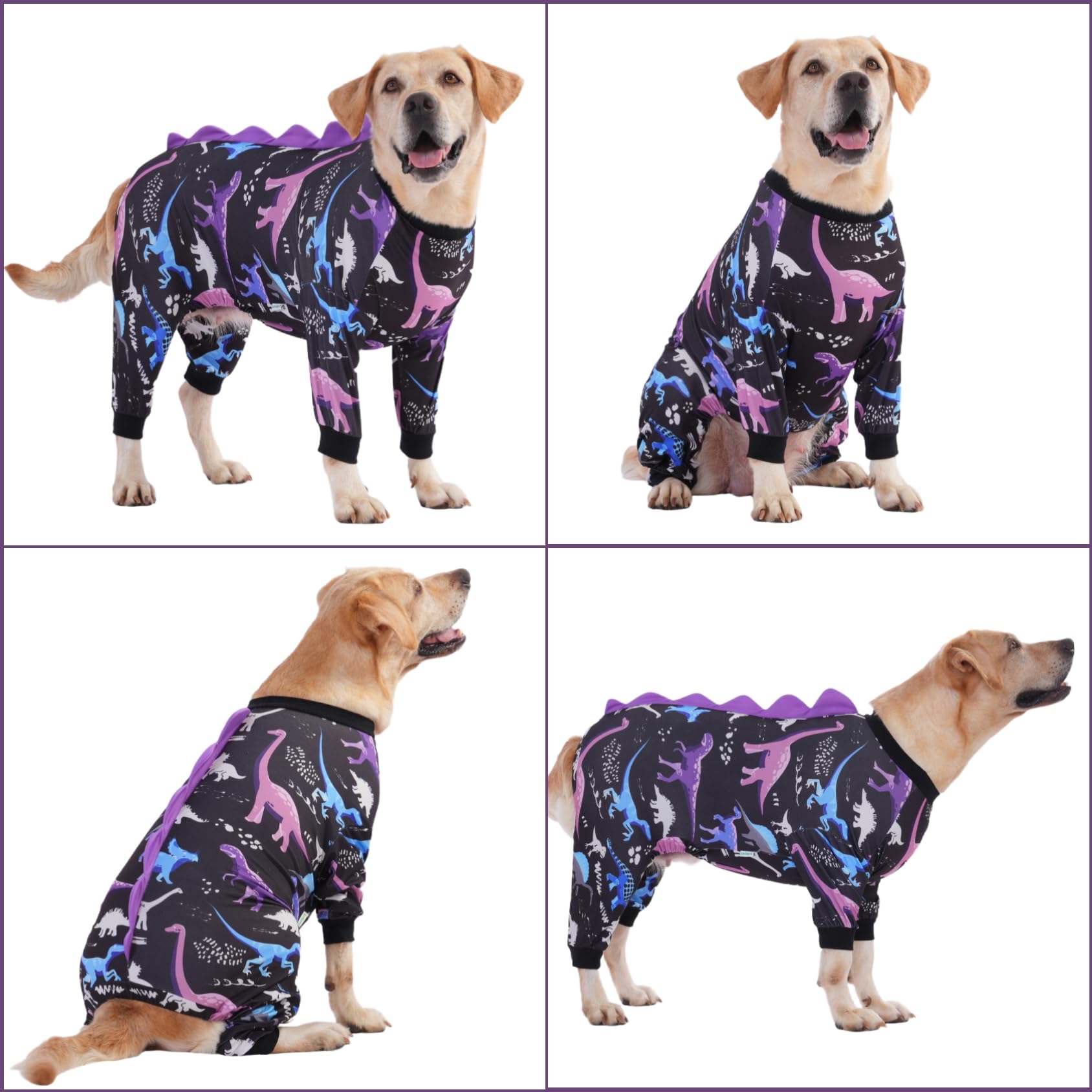 LovinPet wings design offers cute cozy flair for lounging and photos