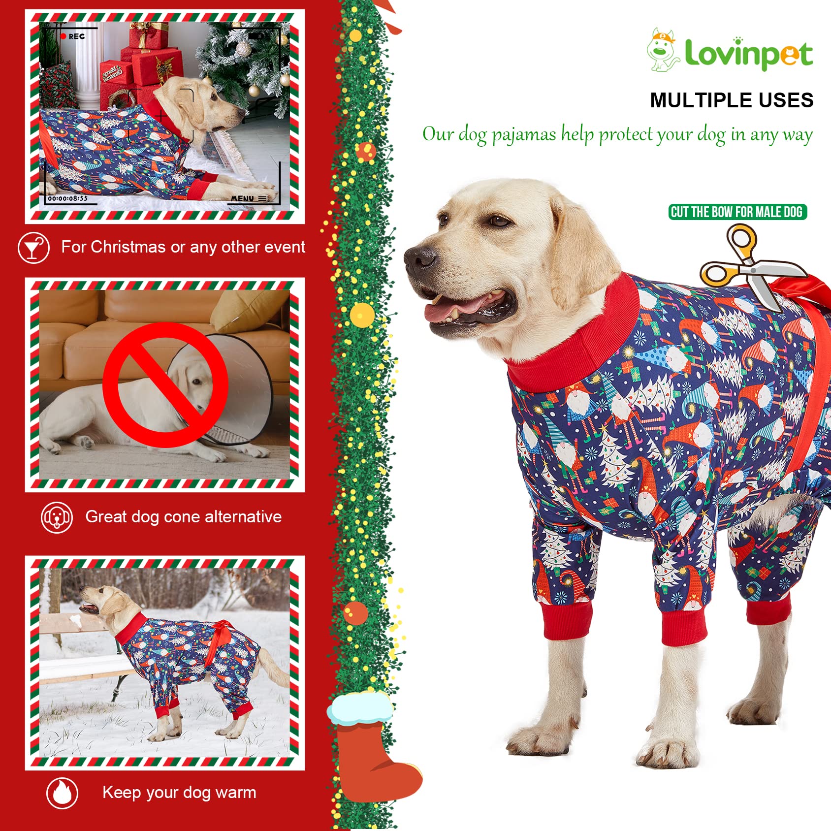 LovinPet dog wearing pajamas during outdoor walk, showcasing comfort and fit.