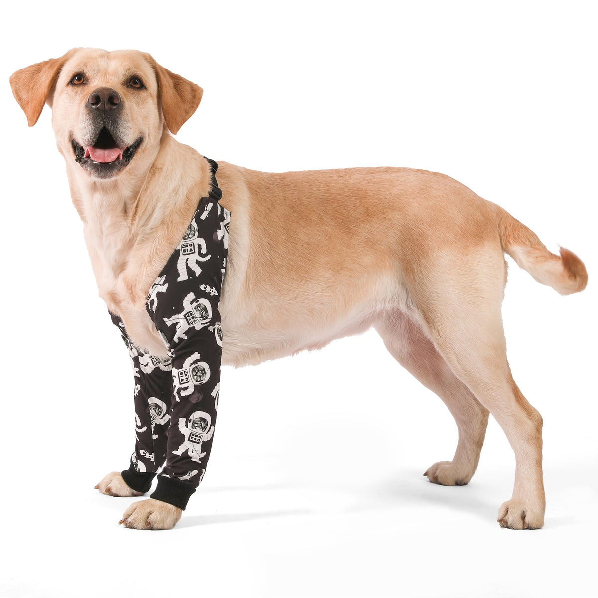 LovinPet elbow protector front view for secure elbow protection during walks