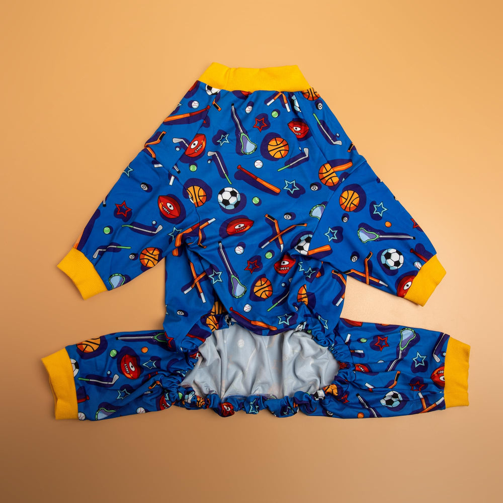 LovinPet dog onesie demonstrates anxiety-relief style for calmer outings