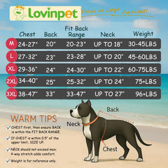 LovinPet dog pajamas with butterflies and rings print for stylish comfort