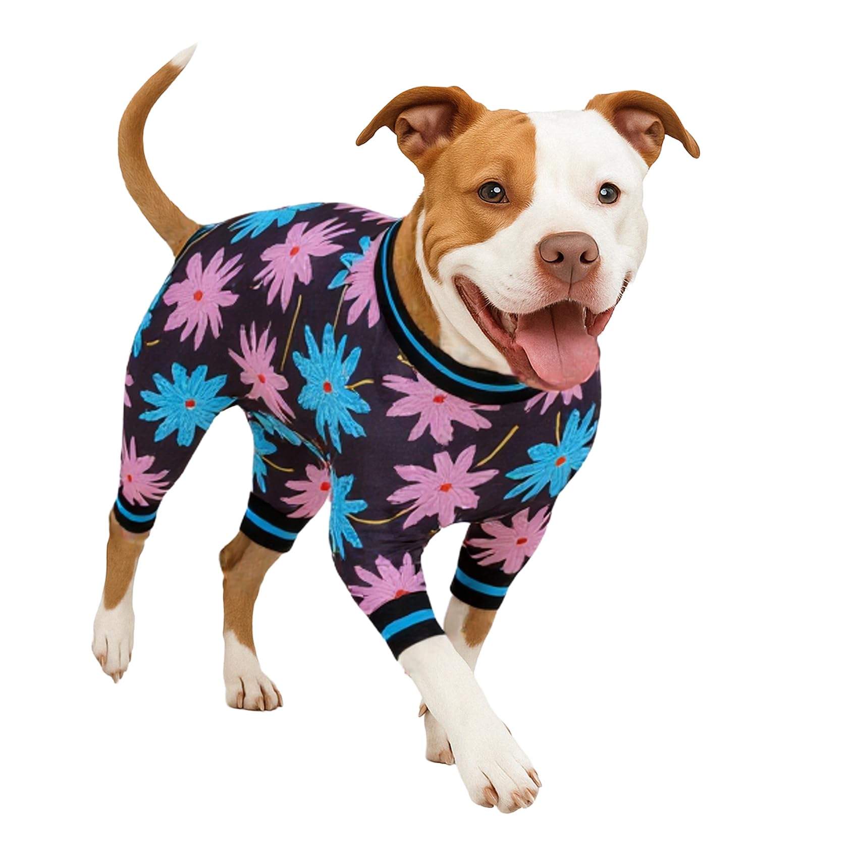 LovinPet dog recovery bodysuit medium in black turquoise leaf print for comfortable wear