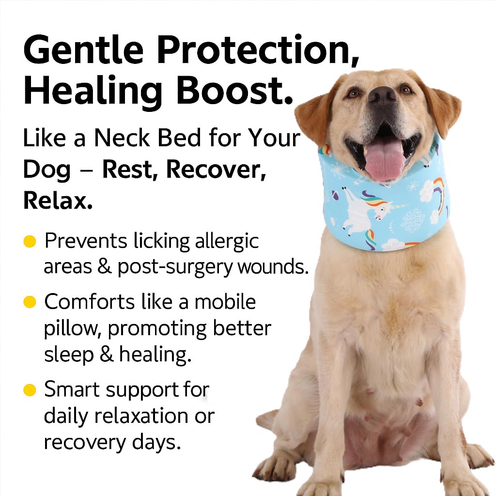 LovinPet recovery collar blue starlight prints, drying and care tips.