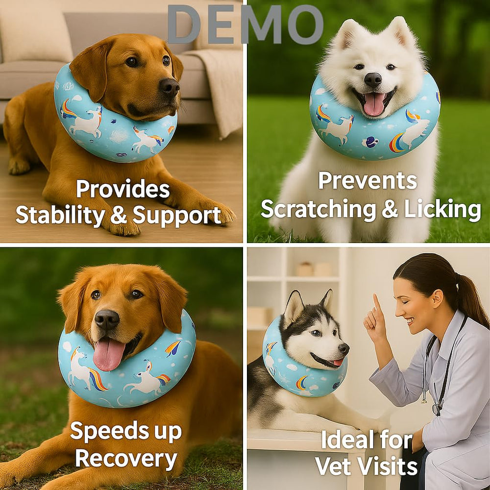 LovinPet recovery collar blue starlight prints on dog eating, daily wear.