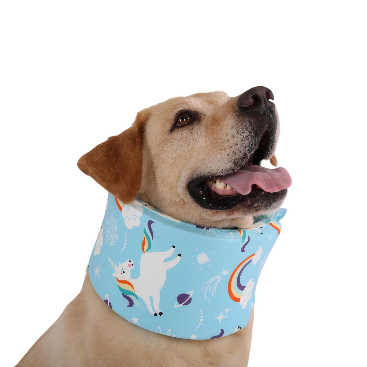 LovinPet recovery collar blue with starlight prints, adjustable strap for secure fit.