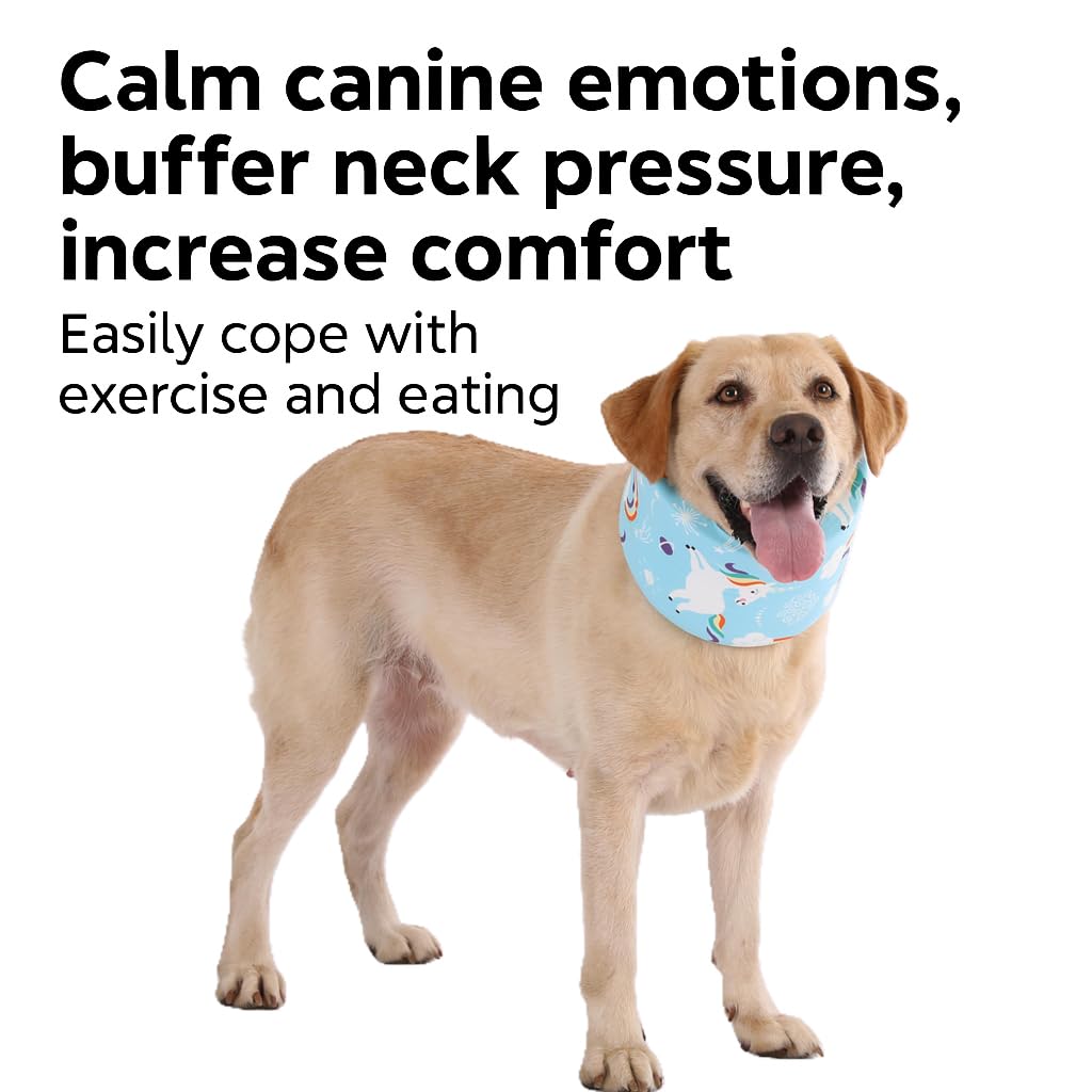 LovinPet recovery collar blue memory foam detail providing gentle support.