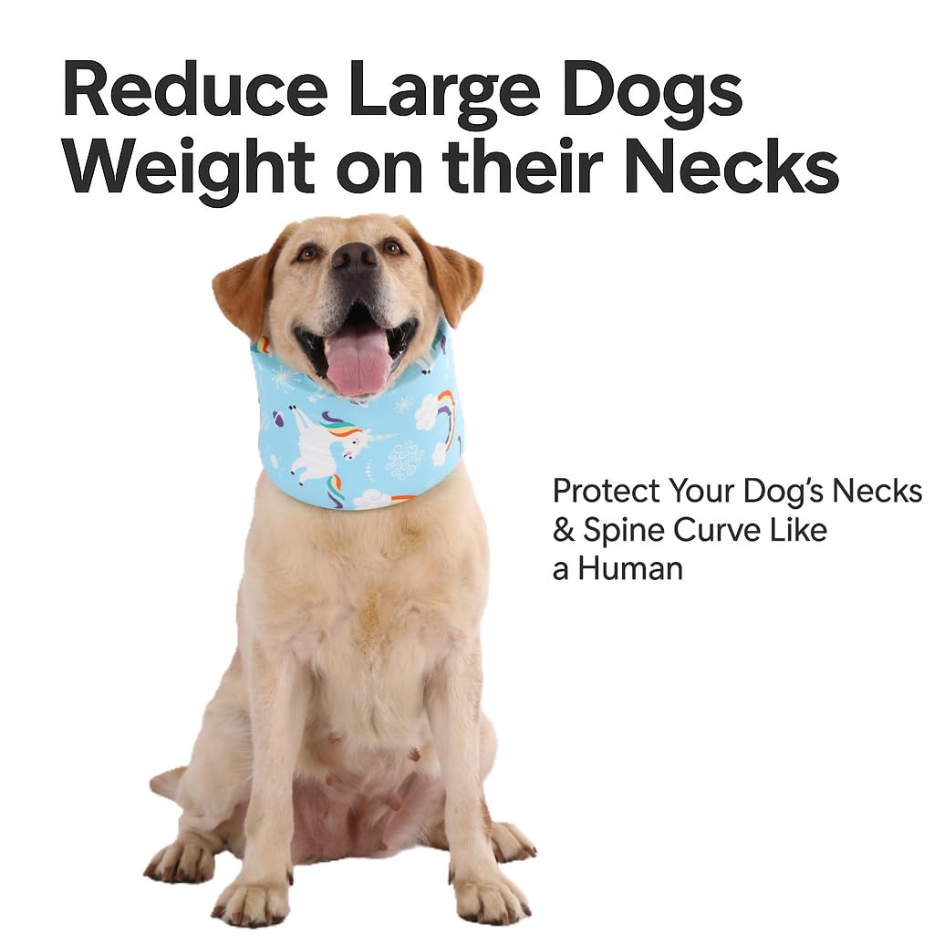 LovinPet recovery collar blue starlight prints during a vet visit for calm support.