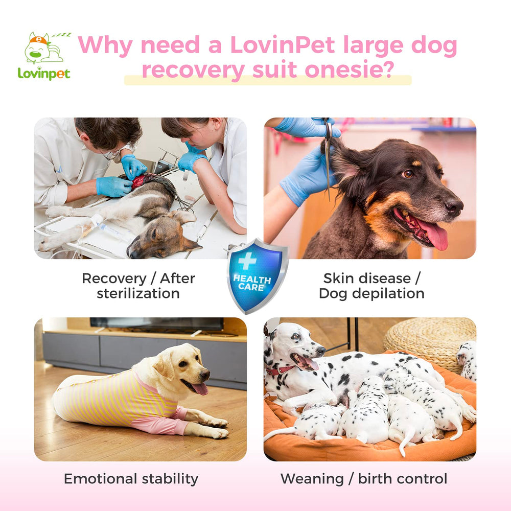 LovinPet dog recovery suit abdomen cut for male dogs eases defecation