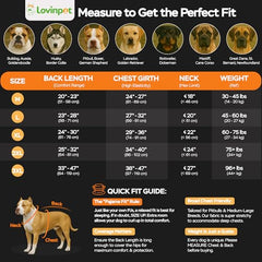 LovinPet post-surgery dog shirt image helps prevent licking while staying comfortable.