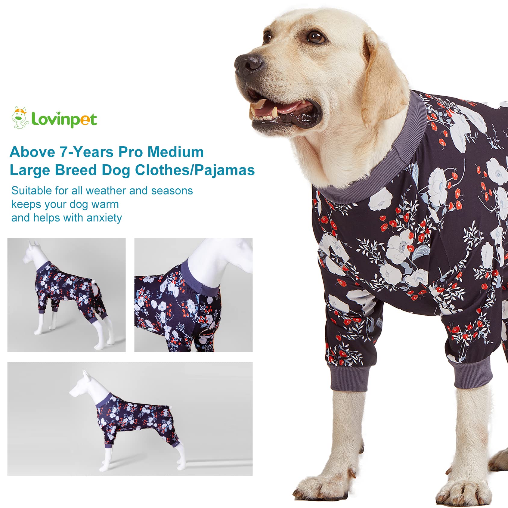 LovinPet dog wearing onesie during relax time highlights cute, cozy appearance.