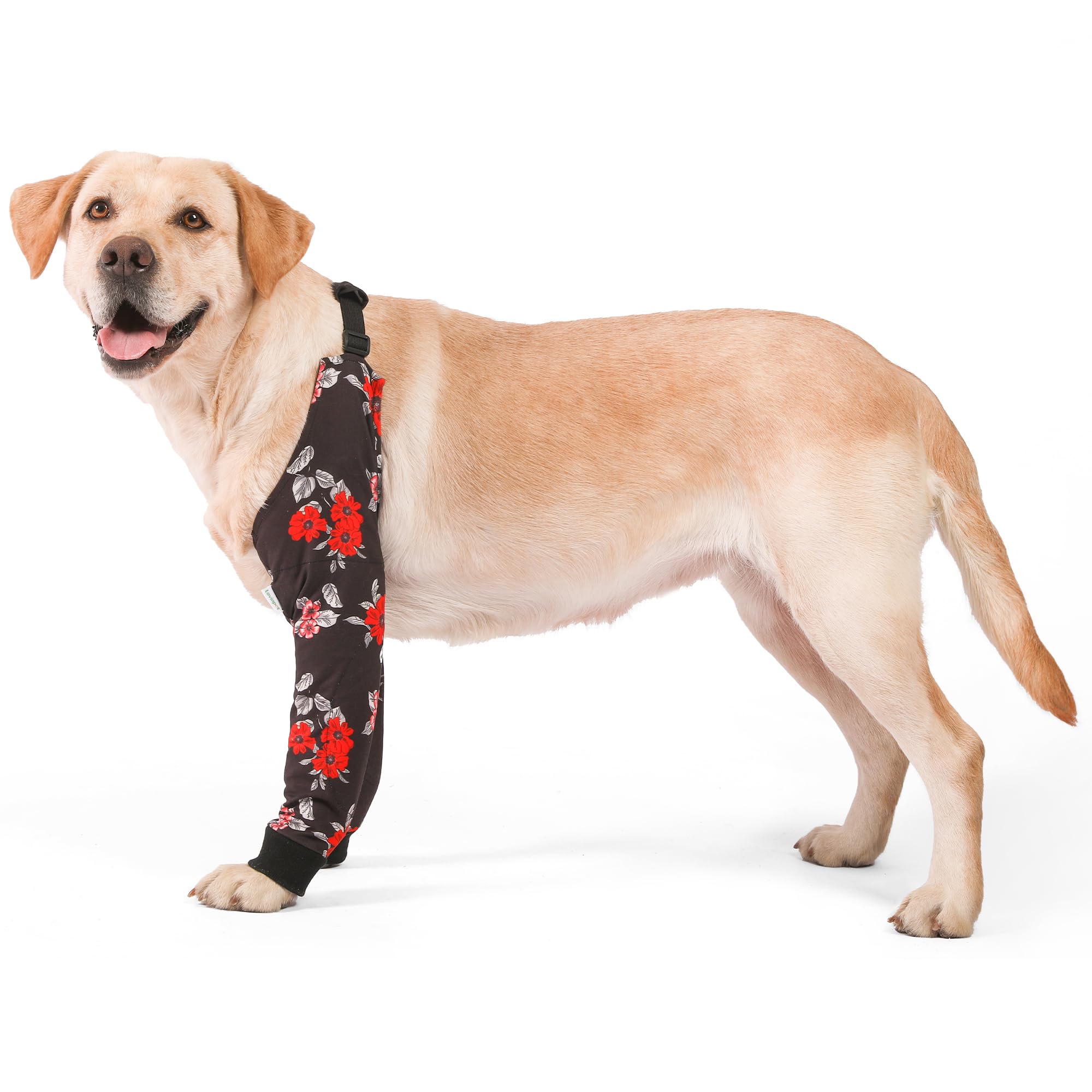 LovinPet elbow protector front leg sleeve shields elbows during playtime.