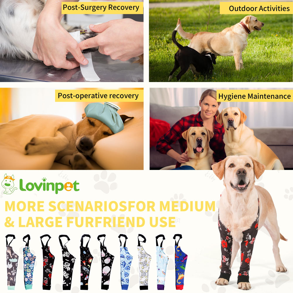 LovinPet elbow protector red-fashion highlights a stylish protective option.