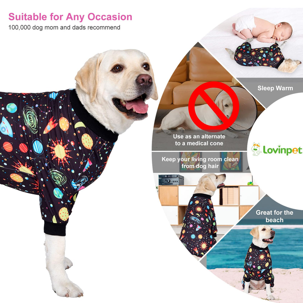 LovinPet indoor-outdoor-dog-usage demonstrates versatile wear for home, park, and travel.