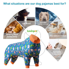 LovinPet knit pullover close-up focusing on lightweight fabric and cozy fit.