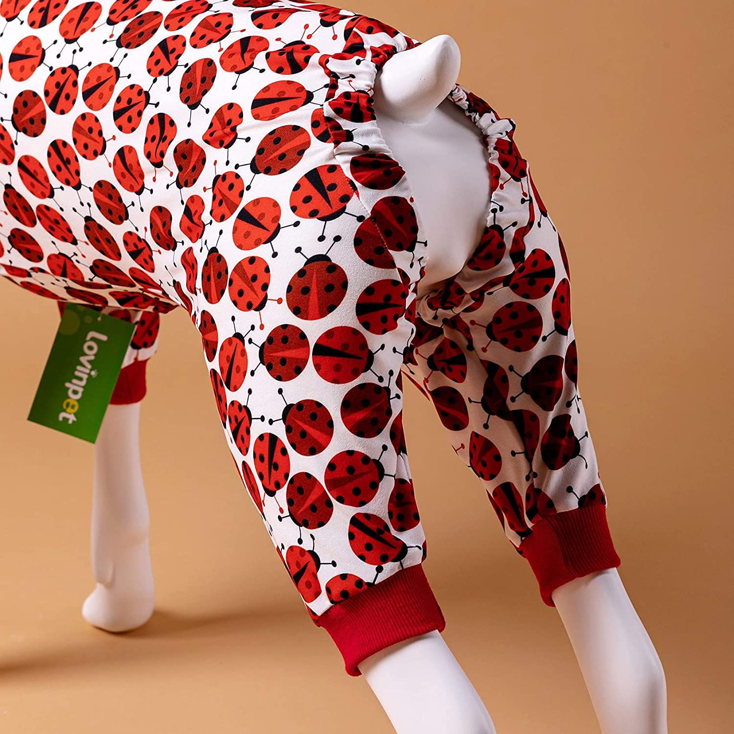 LovinPet large-breed-sleepwear-photos captures adorable moments in action and rest