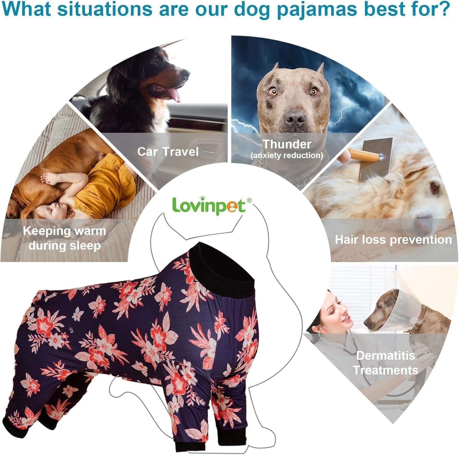 LovinPet large dog pajamas all-season fit illustrates versatile year-round wear.