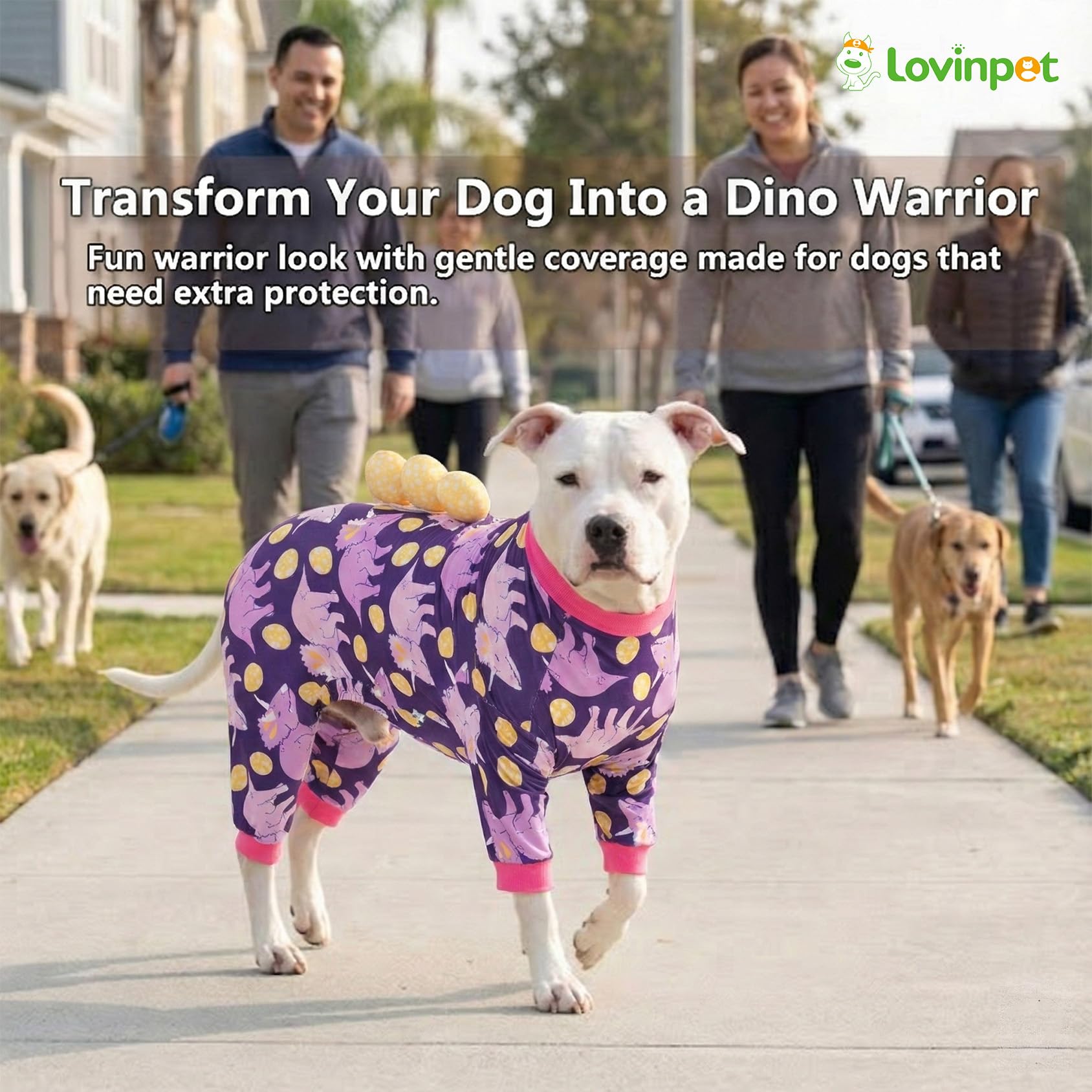 LovinPet breathable all-season fabric keeps dogs comfy year-round