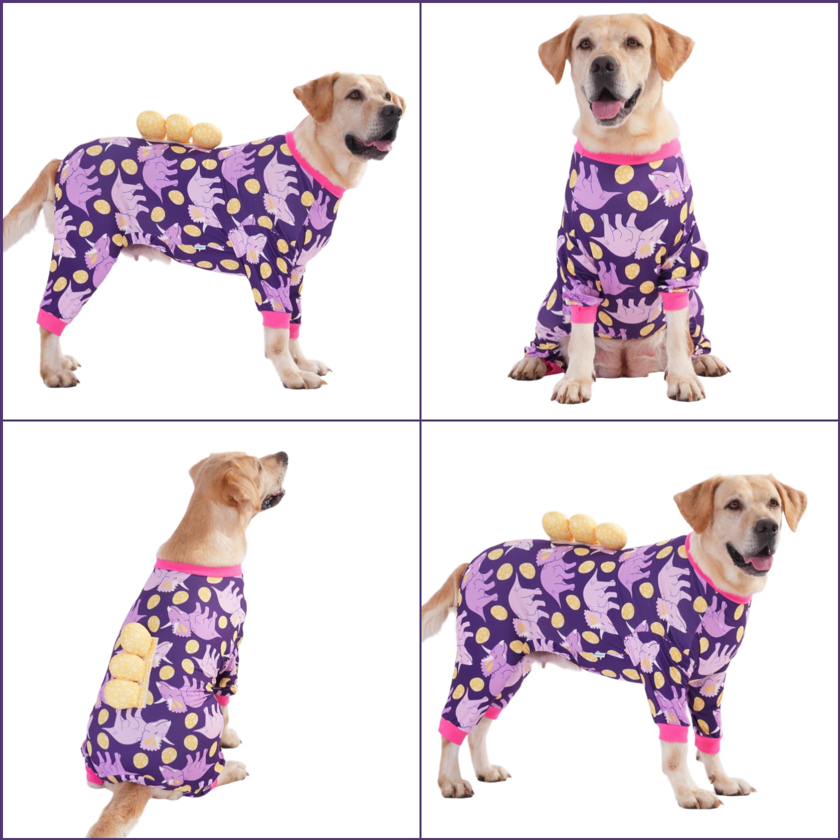 LovinPet dinosaur-prints option adds playful recovery wear style