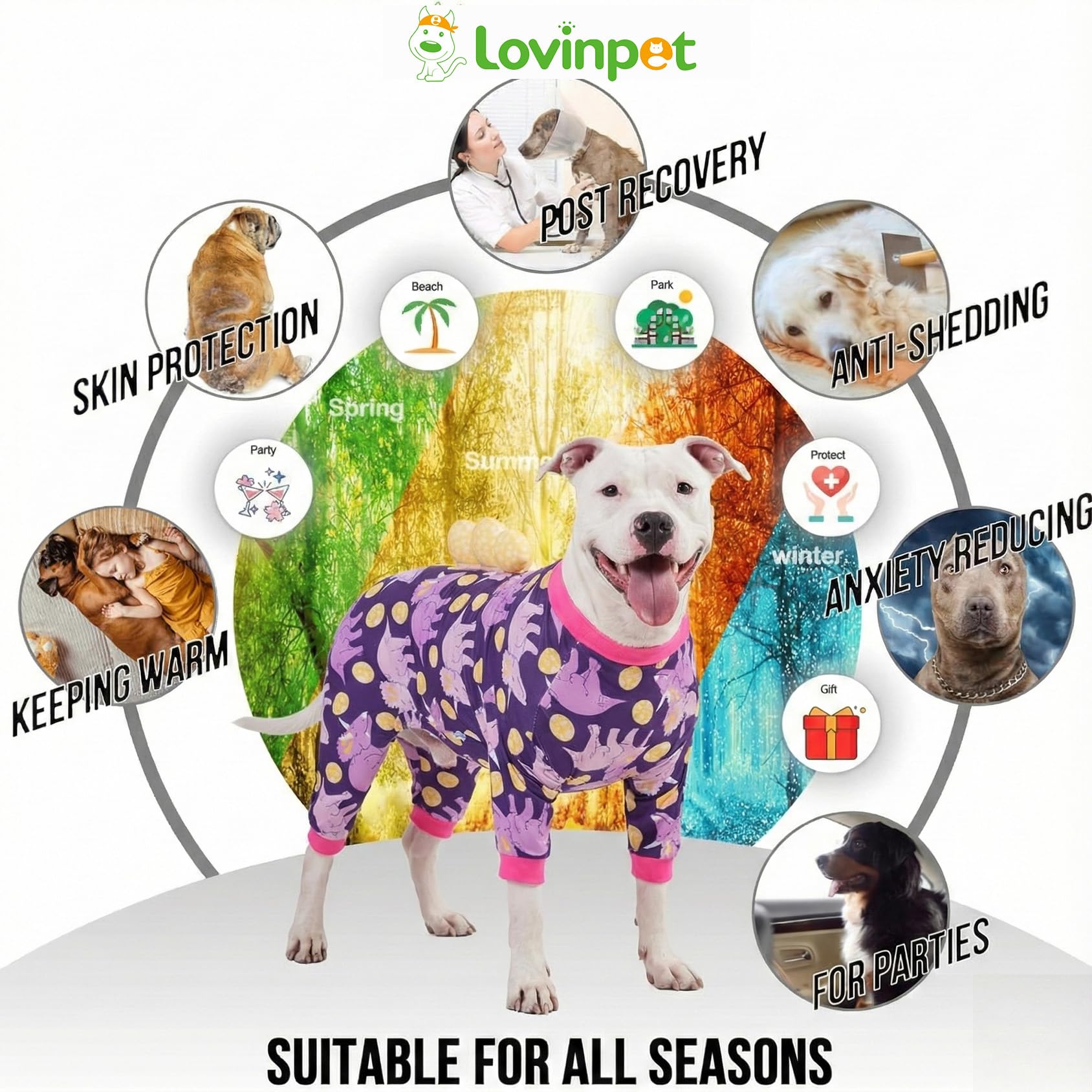 LovinPet post-op coverage deters licking and protects treated areas