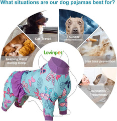 LovinPet navy butterfly wings print dog clothes detail highlighting pattern and style