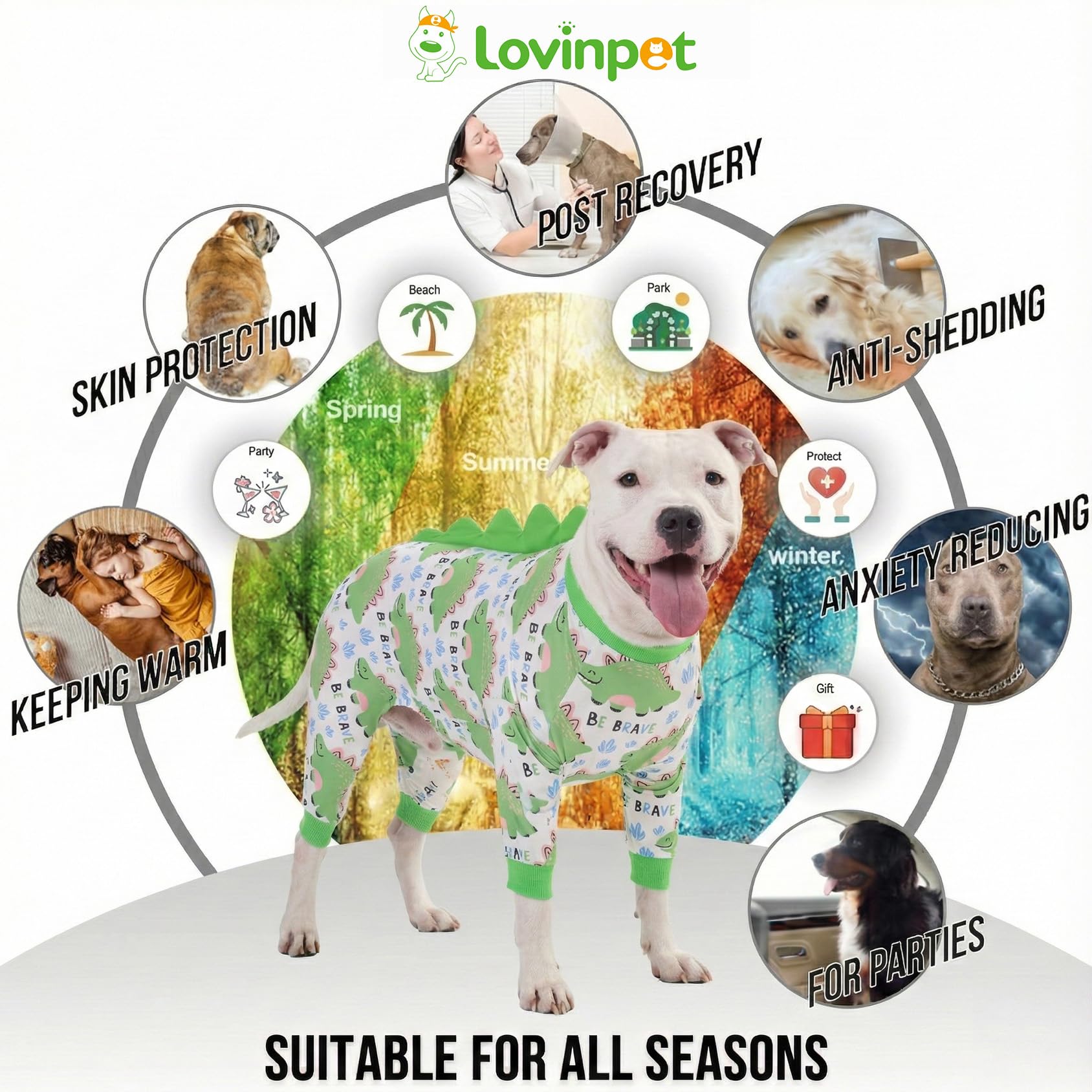 LovinPet print options dinos wings spikes image showcases playful prints for everyday wear