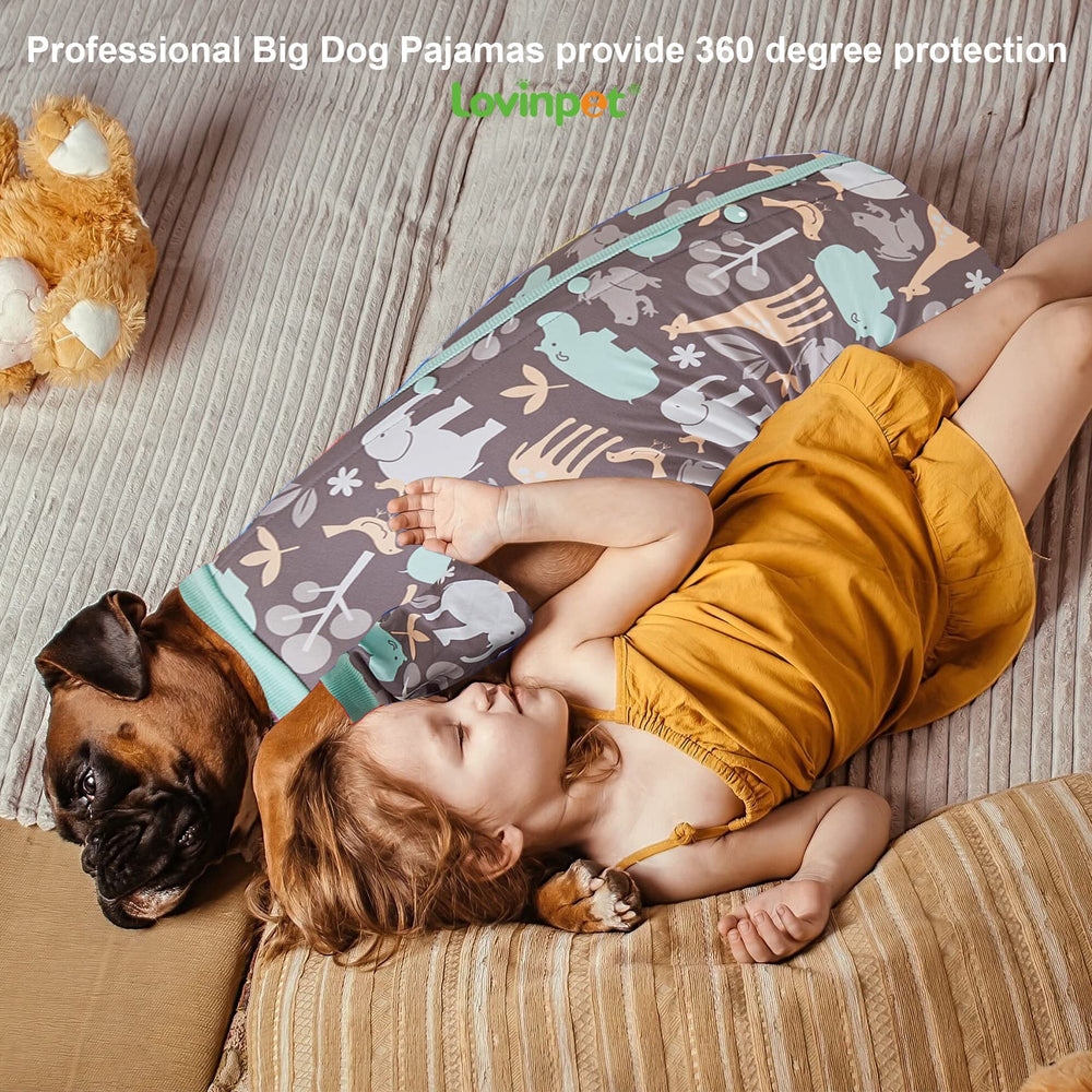 LovinPet Indoor-Outdoor Use promotes versatile dog wear
