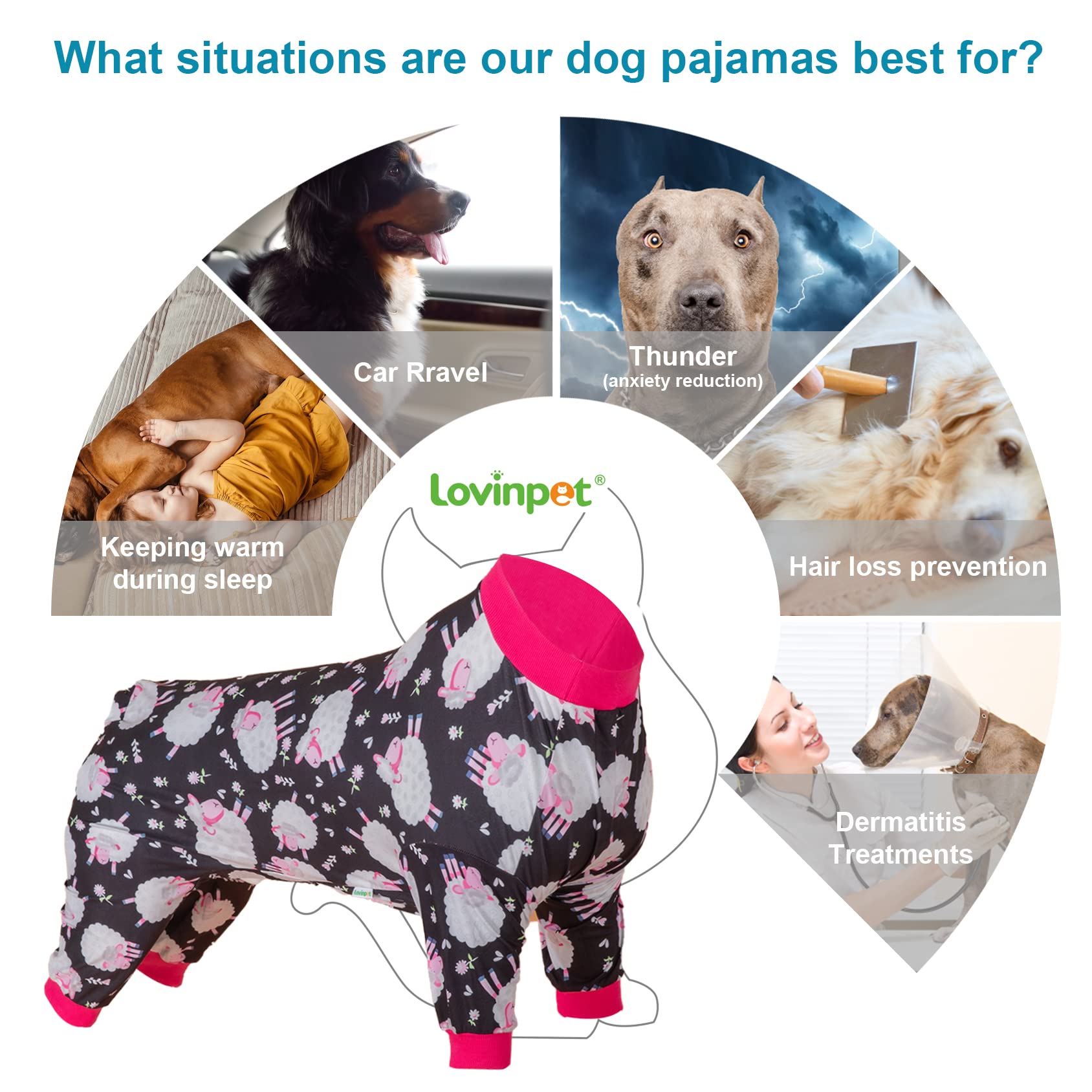 LovinPet pajama being worn outdoors, versatile wear for dogs on the go.