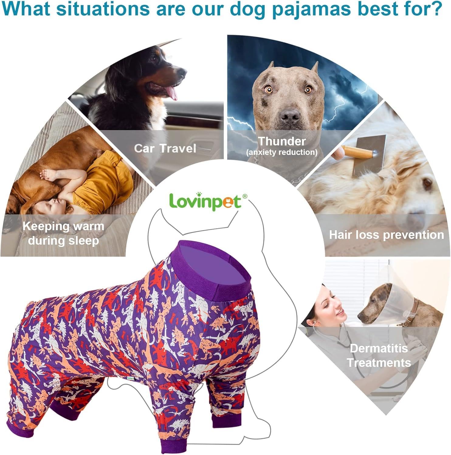 LovinPet pitbull clothes worn by active dog on sofa highlighting comfy fit.