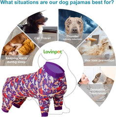 LovinPet pitbull clothes worn by active dog on sofa highlighting comfy fit.