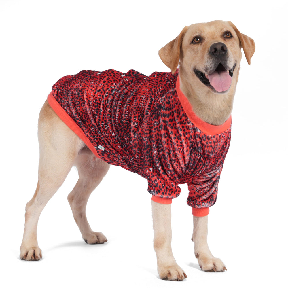 LovinPet Pitbull Fleece Jacket front view shows cozy fit for daily walks.