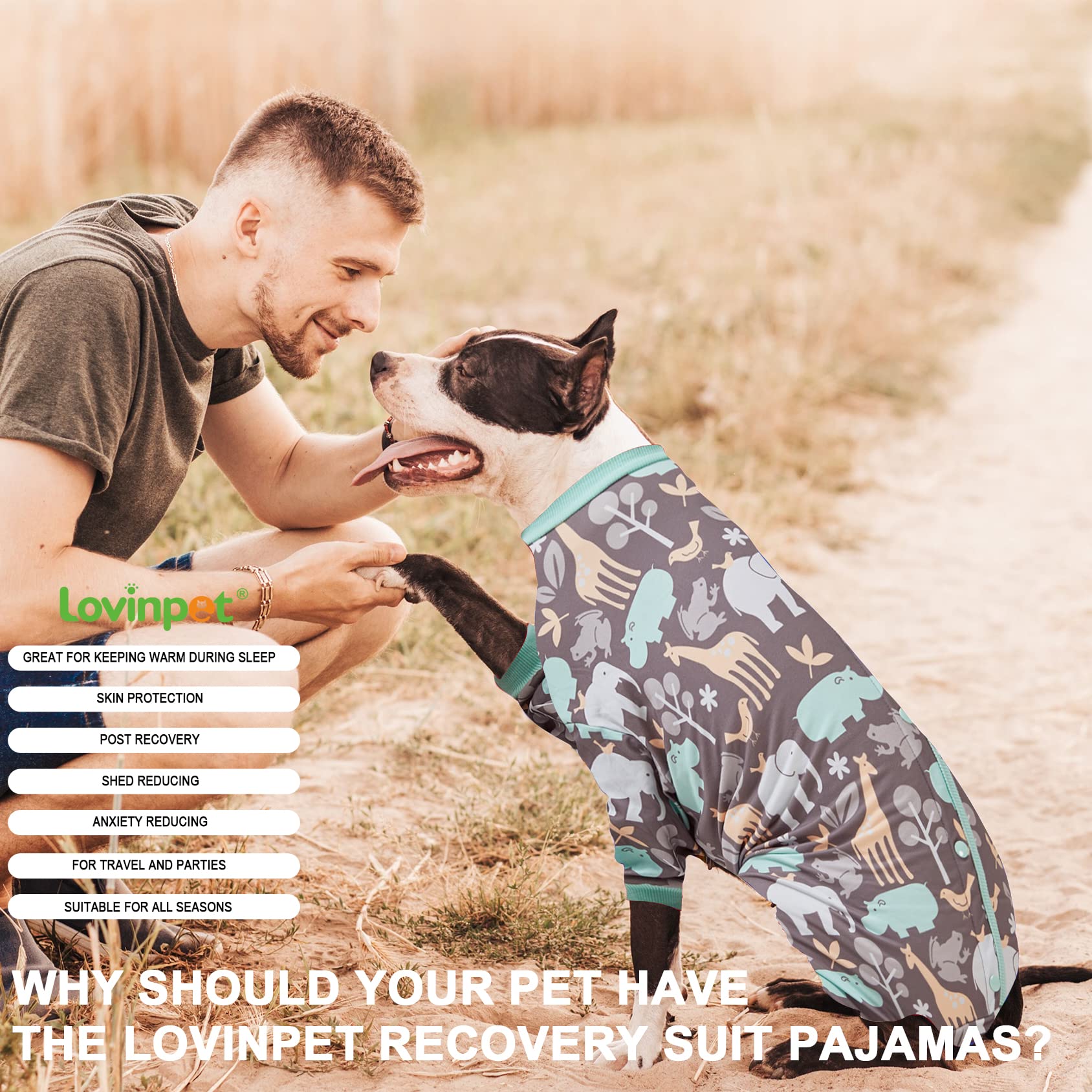 LovinPet Recovery-support look invites calm resting moments
