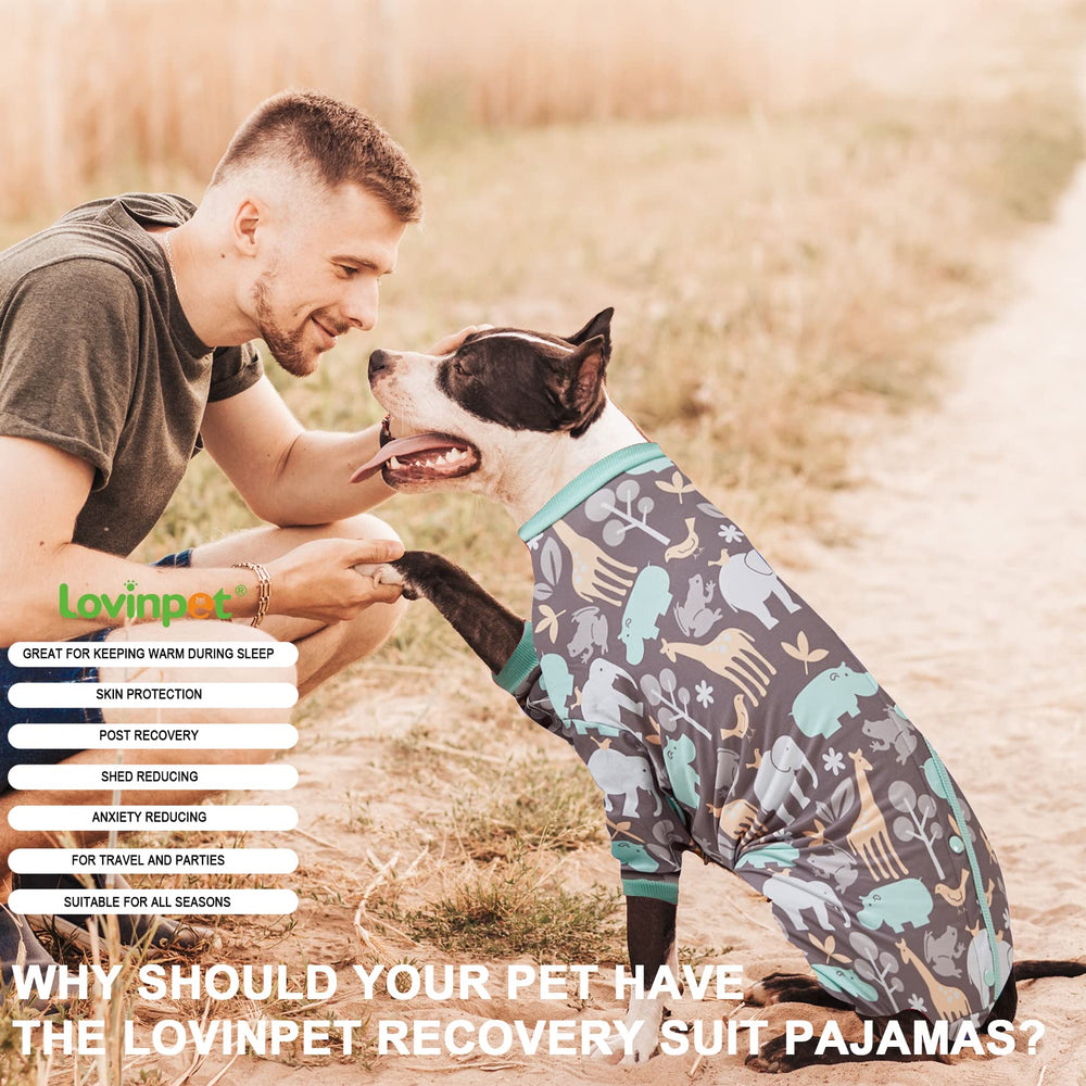 LovinPet Recovery-support look invites calm resting moments